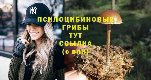 таблы Лиски