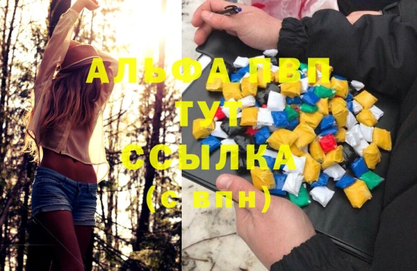 стаф Абаза