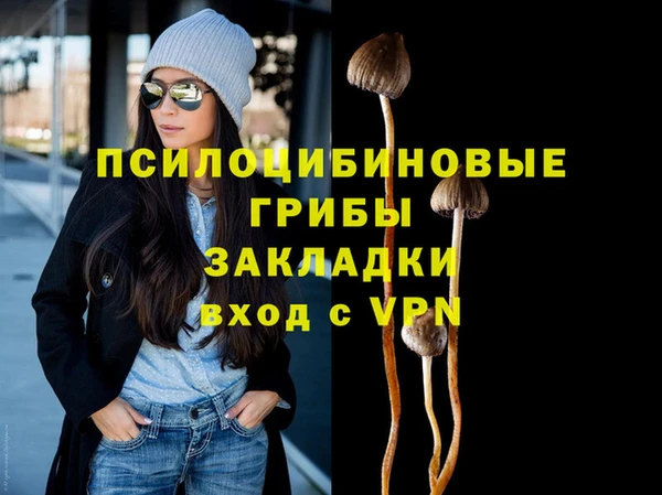 стаф Абаза