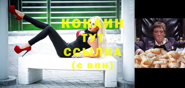 стаф Абаза