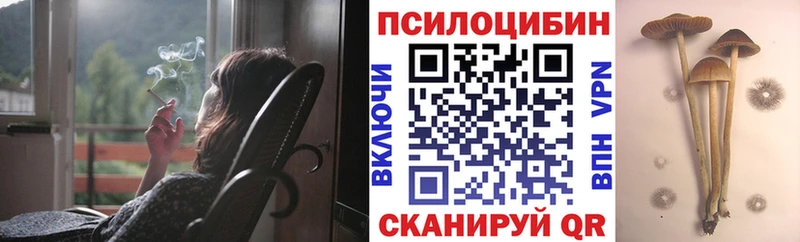 МЕГА маркетплейс  Новокузнецк  Псилоцибиновые грибы ЛСД 