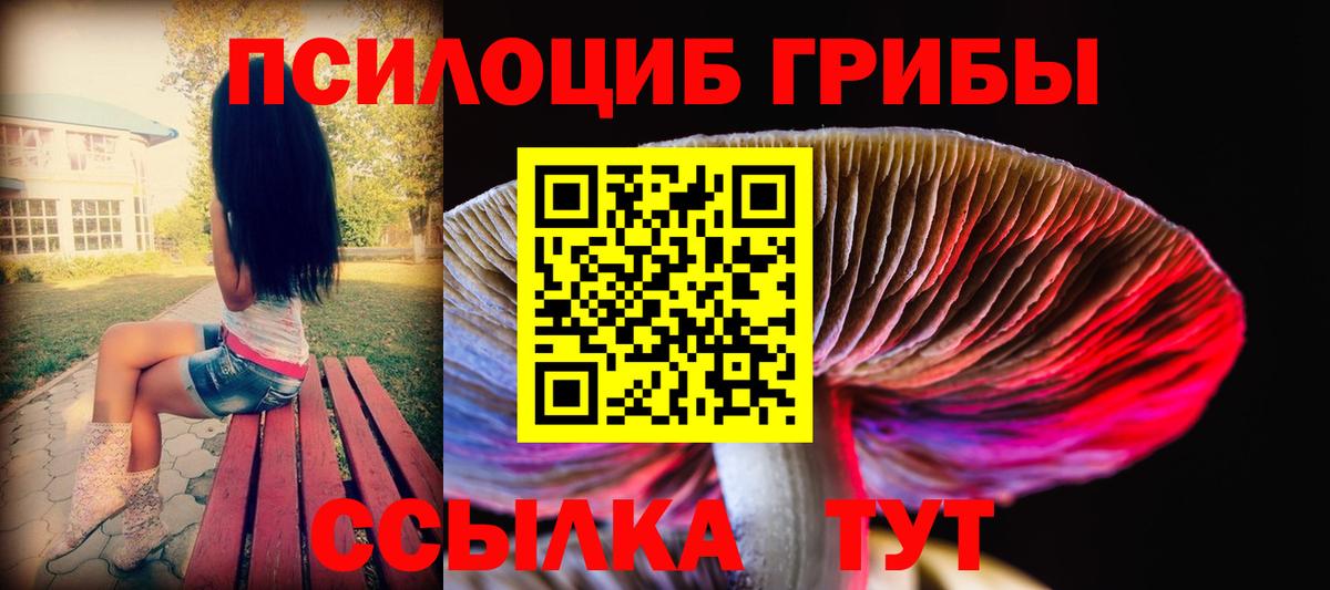 Псилоцибиновые грибы Psilocybine cubensis Новокузнецк