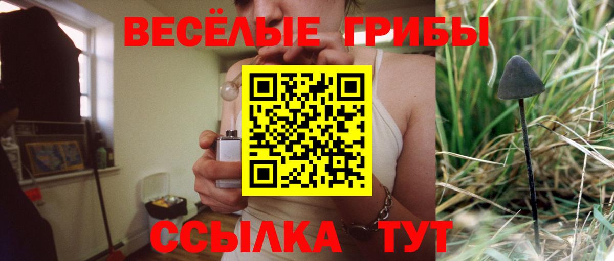 Псилоцибиновые грибы Psilocybine cubensis  Вход с VPN  наркота  Псилоцибиновые грибы прущие грибы  Новокузнецк 