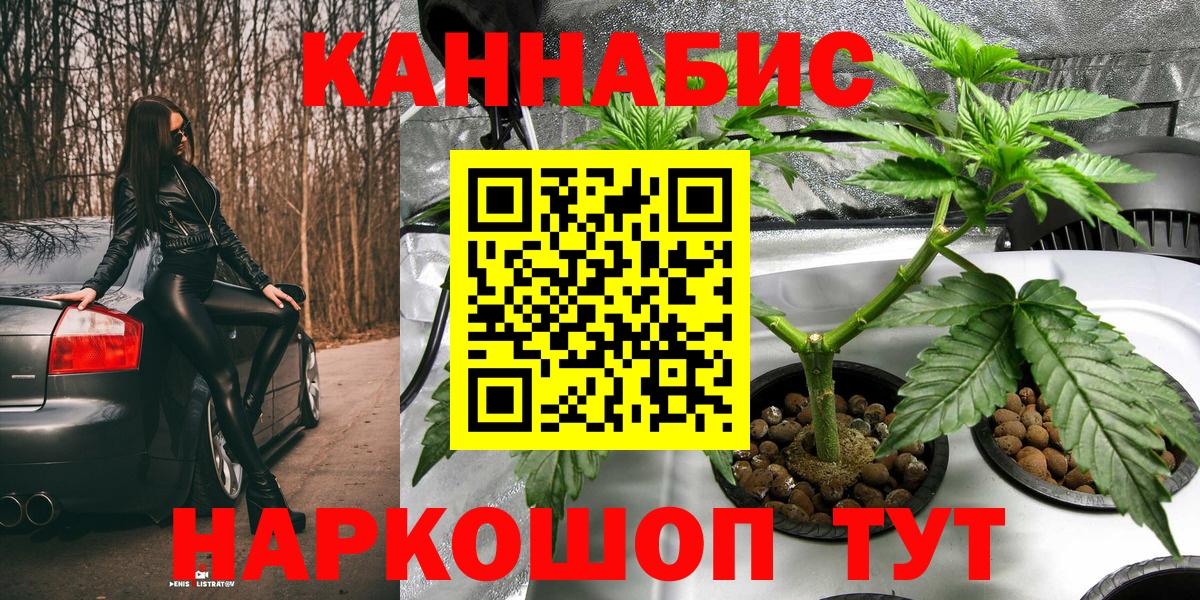 Шишки марихуана Bruce Banner  Бошки марихуана тримм  Новокузнецк  Вход с VPN  МАРИХУАНА LSD WEED 